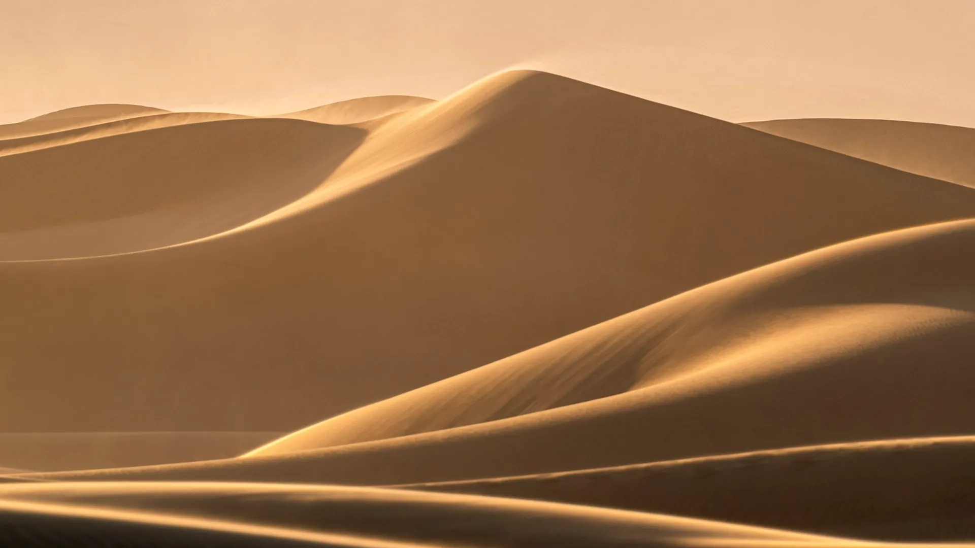 Sculpted desert sand dunes in warm low light near Dubai