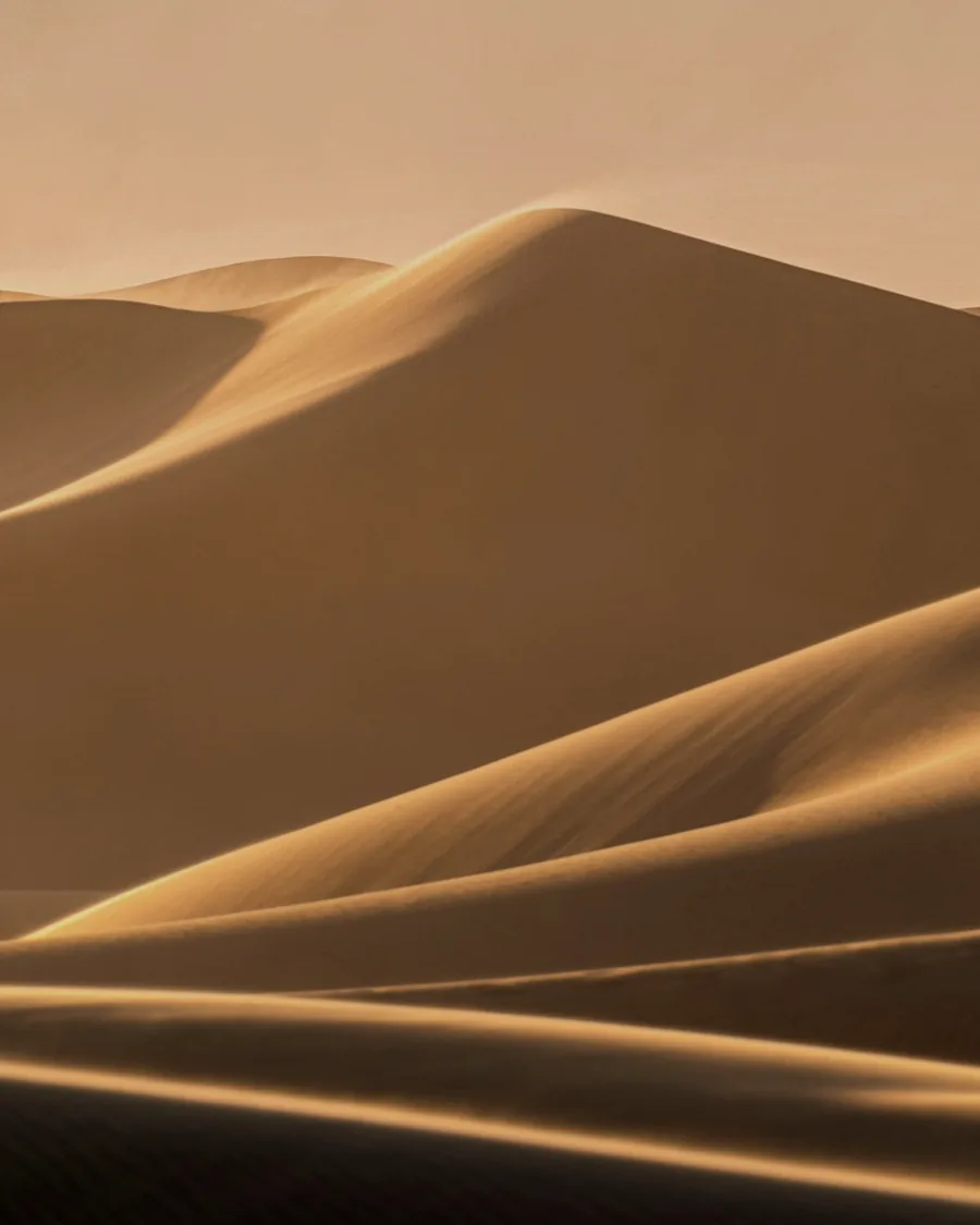 Sculpted desert sand dunes in warm low light near Dubai